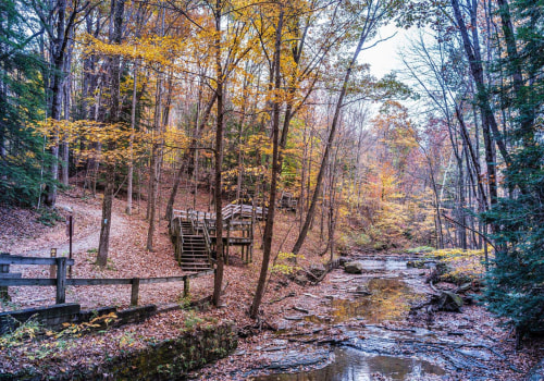 Exploring the Best Outdoor Activities in Summit County, Ohio